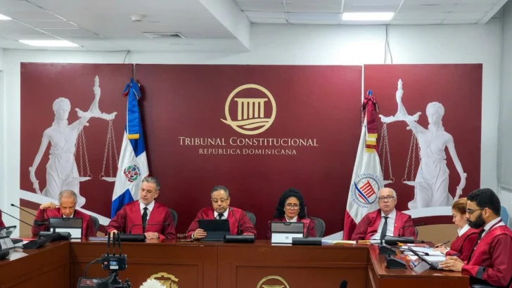 TC conoce hoy doce expedientes de acción directa de inconstitucionalidad