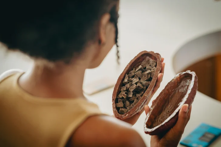 Dominicania: la apuesta para que el turista que llega a Punta Cana “conozca la República Dominicana”