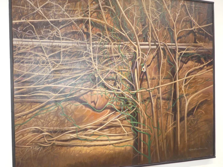 Presentan en Nueva York exposición 'Efectos de la lluvia' de Alcántara Presentan en Nueva York exposición 'Efectos de la lluvia' de Alcántara