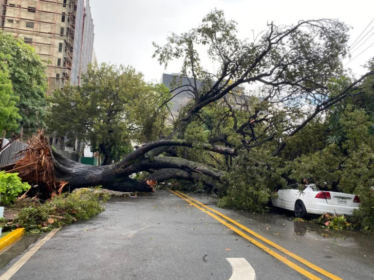 Vaguada derriba árboles y deja nuevos daños en Gascue, Piantini, Naco y otros barrios de Santo Domingo Vaguada derriba árboles y deja nuevos daños en Gascue, Piantini, Naco y otros barrios de Santo Domingo