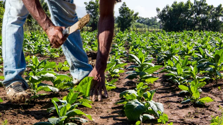 Plan San Juan: cuatro años de promesas, una reestructuración y una inversión que supera los RD$3,000 millones