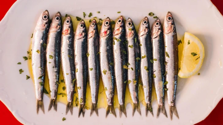 3 propiedades que hacen de las sardinas un superalimento barato ideal para tu salud