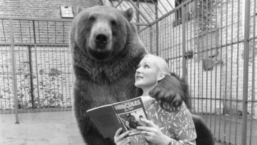 La extraordinaria historia de Hércules, el oso al que una pareja adoptó y crio como parte de su familia