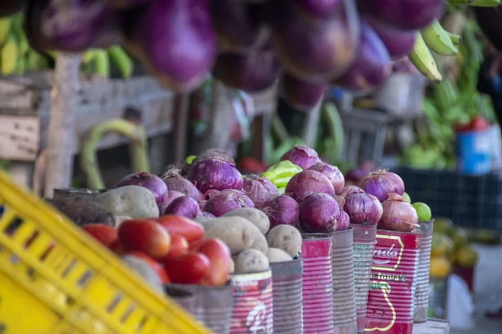 Alimentos17.JPG-728x485