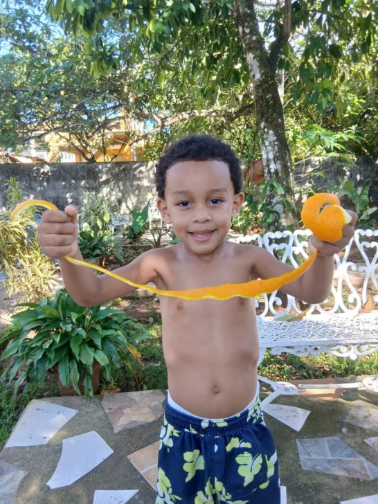 Metáfora de la culebra, del aprendizaje y otros objetos