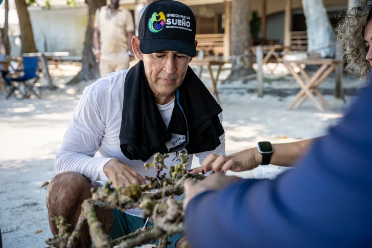 Cementos Progreso Dominicana y Fundación Verde Profundo restauran manglares y arrecifes en Boca Chica