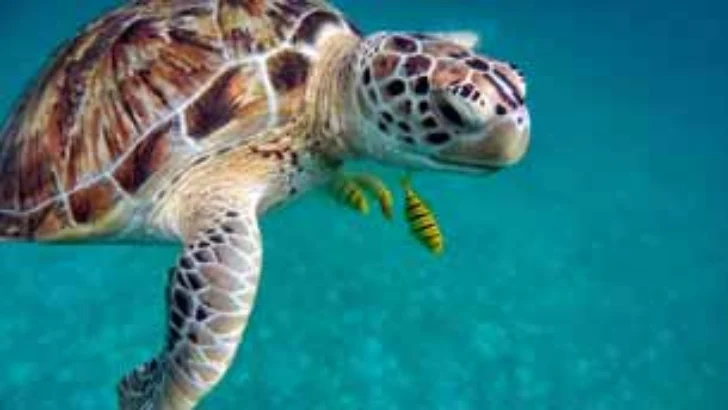 ¿Qué se celebra hoy en el mundo? Efemérides del 23 de mayo
