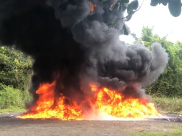 El Inacif destruye más de dos toneladas de drogas