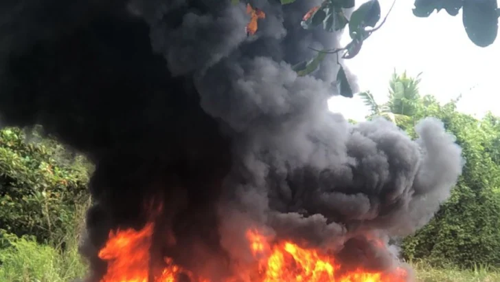 El Inacif destruye más de dos toneladas de drogas