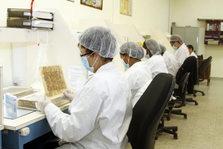 El trabajo técnico que preserva la memoria del pueblo dominicano en el Archivo General