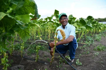Productores reportan mayor productividad y ahorro de costos con riego por goteo
