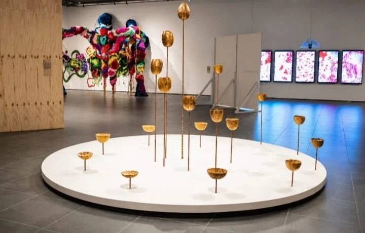 Una instalación de poderosa sensibilidad estética y simbólica que cautivó las miradas durante el 29 Concurso de Arte Eduardo León Jimenes, convirtiendo el espacio en un diálogo entre materia, luz y contemplación.