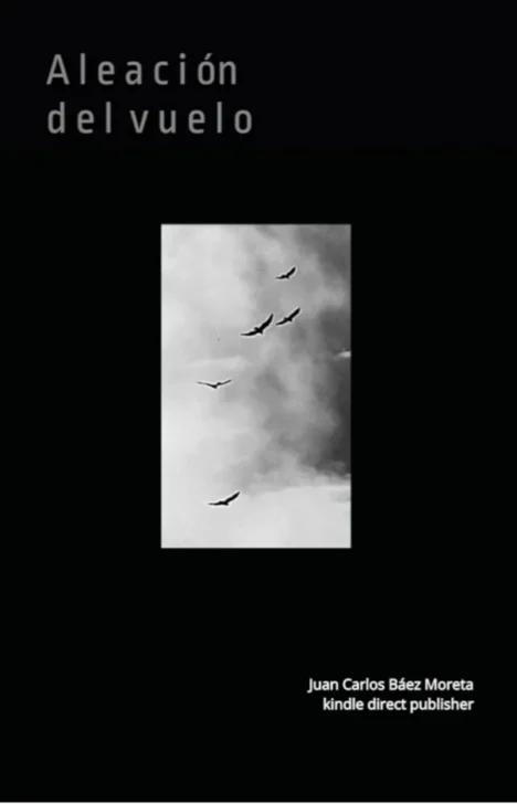 Cinco poemas de “Aleación del vuelo”