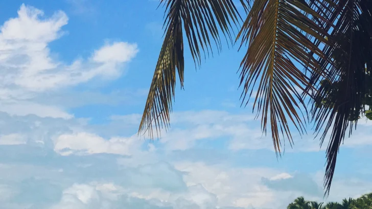 Playas dominicanas atraen a casi la mitad de los turistas extranjeros