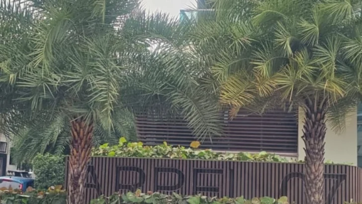 Son madre e hijo los muertos hallados en apartamento de Piantini Son madre e hijo los muertos hallados en apartamento de Piantini