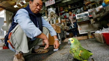 Por qué dominar la Por qué dominar la
