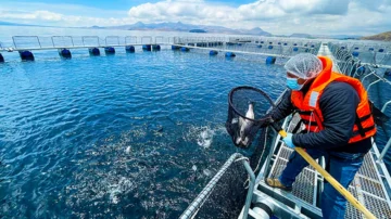 Nuevo récord en la producción pesquera en el mundo