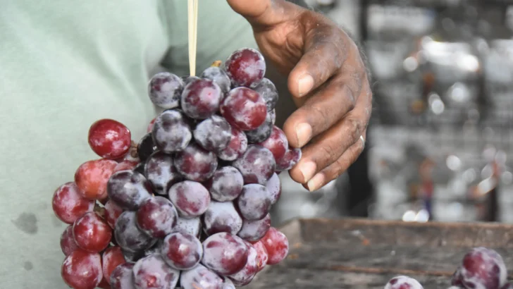 Del viñedo a la carretera: el dulce negocio que enamora a los viajeros del Sur Del viñedo a la carretera: el dulce negocio que enamora a los viajeros del Sur