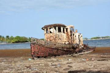 Sargazo en Barahona 2026: fotogalería del impacto en las playas de la Perla del Sur