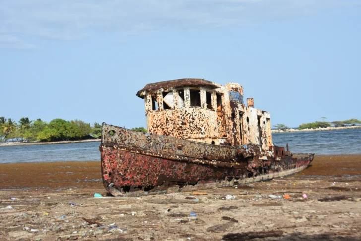 Sargazo en Barahona 2026: fotogalería del impacto en las playas de la Perla del Sur
