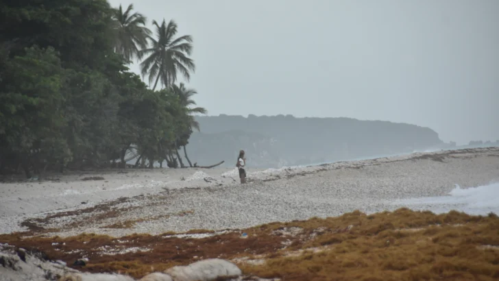 Fotogalería: Así luce el litoral de Paraíso ante la llegada del sargazo Fotogalería: Así luce el litoral de Paraíso ante la llegada del sargazo