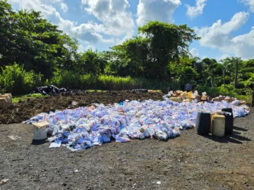 Destruyen más de 3.7 toneladas de drogas; marihuana y cocaína concentraron la mayor parte