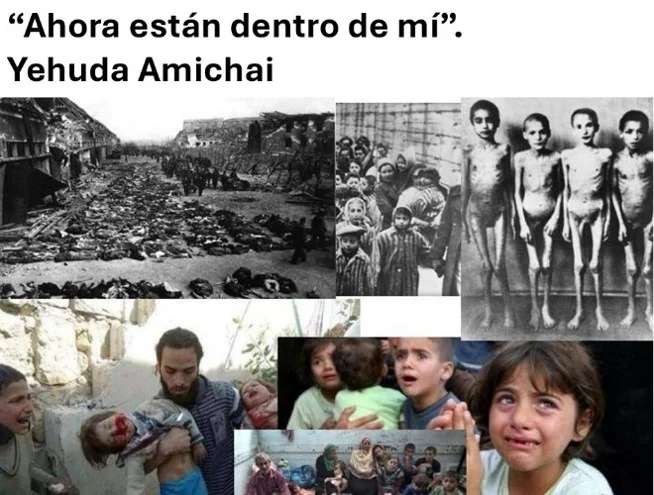 Los gatos de Gaza