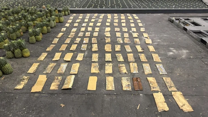 Hallan cocaína en cajas de piñas con destino Afganistán pasando por España Hallan cocaína en cajas de piñas con destino Afganistán pasando por España