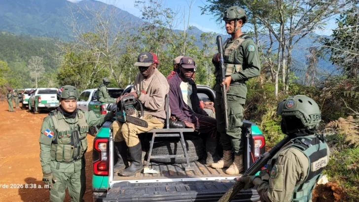 SENPA enfrenta tala ilegal de árboles en el Parque Nacional J. Armando Bermúdez, en la Cordillera Central  