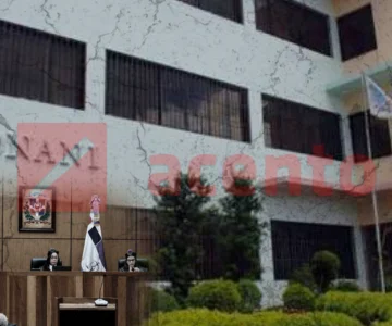 Juezas detallan por más de cinco horas red Coral y Coral 5G y revelan intento de extender esquema a Conani Juezas detallan por más de cinco horas red Coral y Coral 5G y revelan intento de extender esquema a Conani