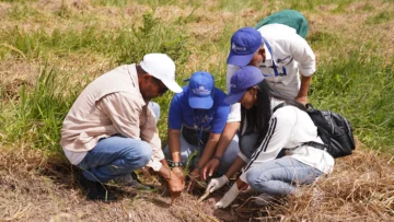 Onesvie reforesta zona de Cevicos con la siembra de 600 pinos