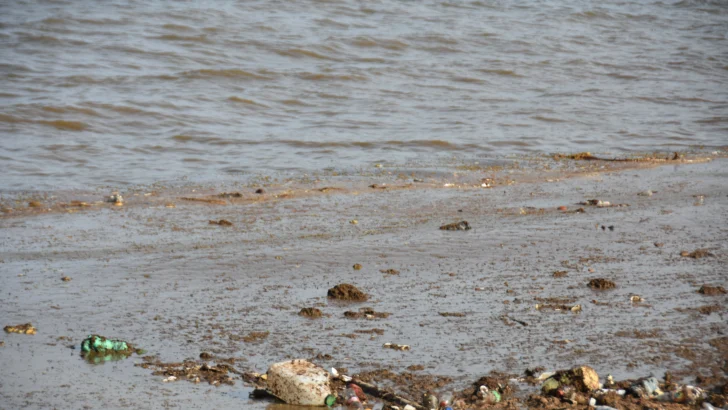 Entre sargazo y plásticos, el litoral de Barahona enfrenta una creciente presión ambiental Entre sargazo y plásticos, el litoral de Barahona enfrenta una creciente presión ambiental