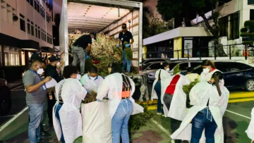 Siembra de marihuana desmantelada en Ocoa pesó más de 13,800 libras, según autoridades