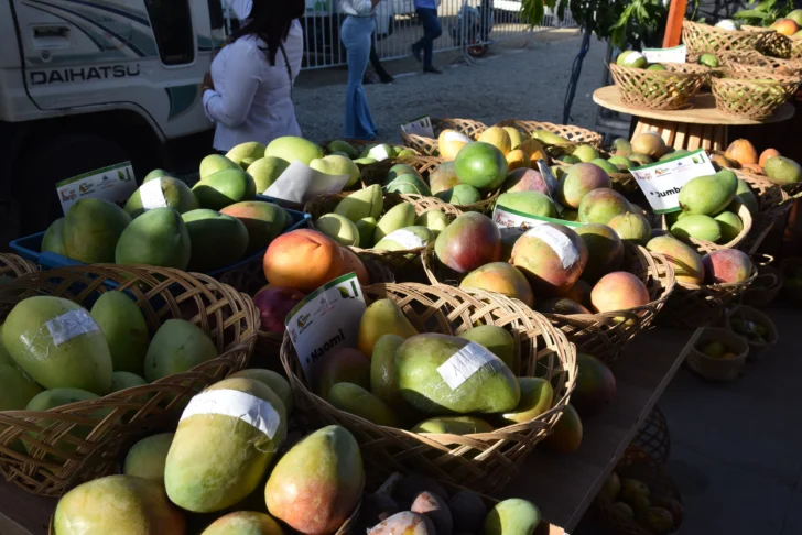 República Dominicana proyecta exportar 10 millones de cajas de mango en 2026