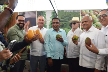 República Dominicana proyecta exportar 10 millones de cajas de mango en 2026