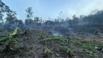 Medio Ambiente controla incendio forestal en Bonao y atiende nuevo foco en Sierra de Bahoruco Medio Ambiente controla incendio forestal en Bonao y atiende nuevo foco en Sierra de Bahoruco