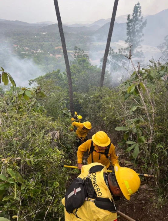 Medio Ambiente controla incendio forestal en Bonao y atiende nuevo foco en Sierra de Bahoruco