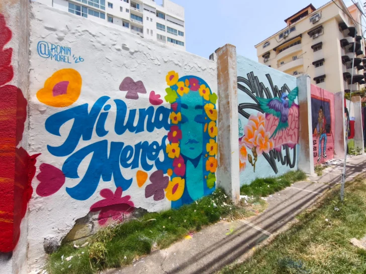 Muralistas promueven la diversidad y la no violencia contra la mujer con intervención artística en la Sarasota
