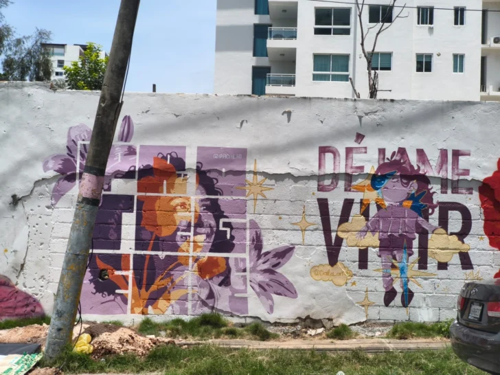 Muralistas promueven la diversidad y la no violencia contra la mujer con intervención artística en la Sarasota