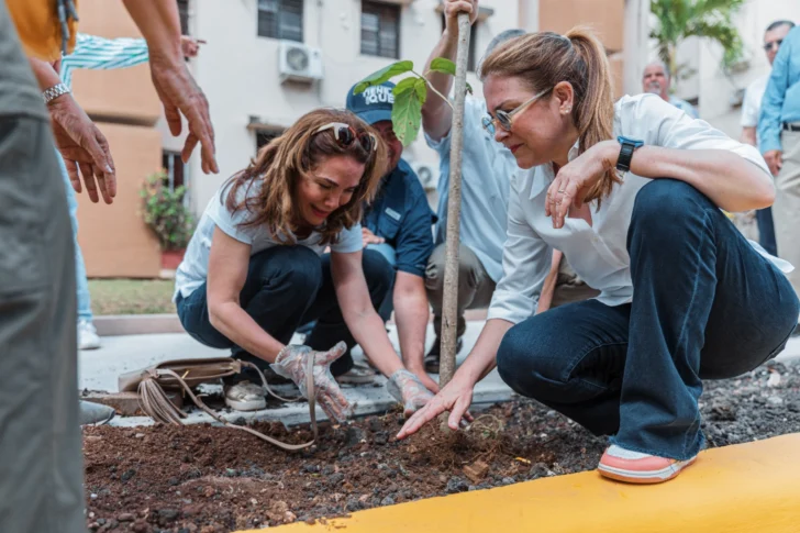 La Alcaldía del DN supera los 110,000 árboles plantados en seis años