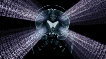 Cerebro humano no es una máquina