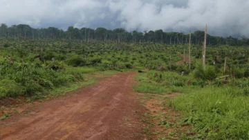 Brasil: Los incendios en la Amazonía cayeron a su mínimo histórico en 2025 Brasil: Los incendios en la Amazonía cayeron a su mínimo histórico en 2025