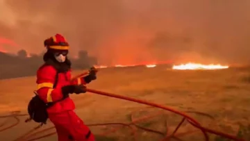 España: Varios incendios arrasan miles de hectáreas y desplazan a cientos de residentes España: Varios incendios arrasan miles de hectáreas y desplazan a cientos de residentes