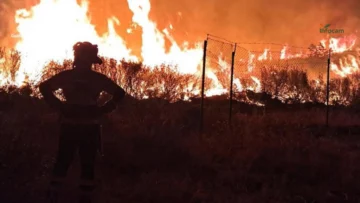 España: incendio al norte de Madrid deja 26 000 hectáreas calcinadas España: incendio al norte de Madrid deja 26 000 hectáreas calcinadas