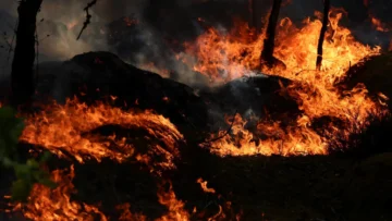 Francia: avanza voraz incendio en bosque de Fontainebleau, cerca de París