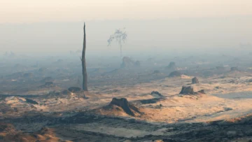 Incendios en Francia y España: día clave por ola de calor con temperaturas de hasta 41°C
