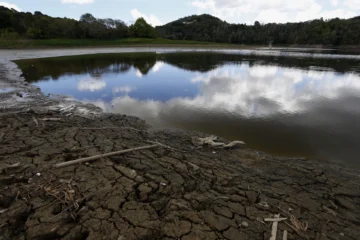 Amenaza inminente de El Niño para el sistema alimentario mundial Amenaza inminente de El Niño para el sistema alimentario mundial