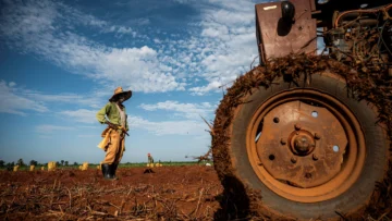 Agricultores cubanos se apresuran a vender sus tierras a medida que se agrava la crisis Agricultores cubanos se apresuran a vender sus tierras a medida que se agrava la crisis