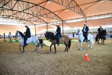 Santiago será sede del XV Mundial CONFEPASO de Equitación en Caballos de Paso 2026