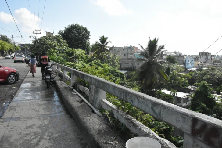 DSC_2380-728x485